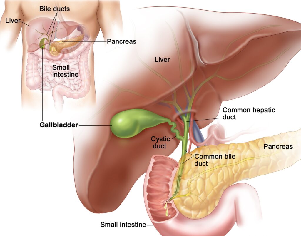 Best Gallbladder Surgeon in Surat | Gallstone Treatment | Laparoscopic Surgery