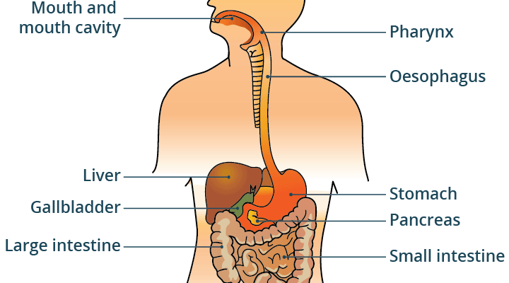 Best GI (Gastrointestinal) & Laparoscopic Surgery